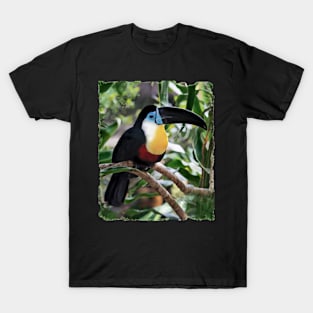 Channel Billed Toucan T-Shirt